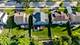 2072 Norwich, Bartlett, IL 60103