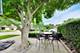 544 Park Plaine, Park Ridge, IL 60068