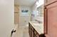 544 Park Plaine, Park Ridge, IL 60068