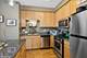 1134 W Granville Unit 1017, Chicago, IL 60660