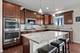 1554 Star Grass, Aurora, IL 60506