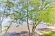 26443 N Ridge, Mundelein, IL 60060