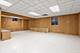 231 Southwick, Schaumburg, IL 60173