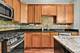 1102 Iron Horse, Elgin, IL 60124
