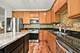 1102 Iron Horse, Elgin, IL 60124