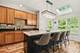 1102 Iron Horse, Elgin, IL 60124