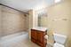 1919 S Michigan Unit 300, Chicago, IL 60616