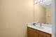 1919 S Michigan Unit 300, Chicago, IL 60616