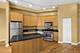1919 S Michigan Unit 300, Chicago, IL 60616