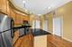 1919 S Michigan Unit 300, Chicago, IL 60616