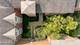 57 E Hattendorf Unit 210, Roselle, IL 60172