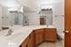 15708 Centennial, Orland Park, IL 60462