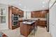 26602 Grande Poplar, Plainfield, IL 60585