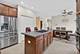 26602 Grande Poplar, Plainfield, IL 60585