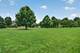 26602 Grande Poplar, Plainfield, IL 60585