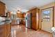 7259 N Odell, Chicago, IL 60631