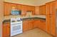 113 Siesta, Carpentersville, IL 60110