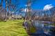 1300 Abington Cambs, Lake Forest, IL 60045