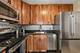 1636 N Wells Unit 2907, Chicago, IL 60614