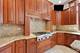 7001 Laramie, Skokie, IL 60077