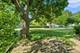 175 N Glengarry Unit C, Geneva, IL 60134