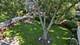 1249 Stonegate, Naperville, IL 60540