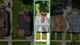 2030 S 4th, Maywood, IL 60153