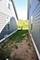 1920 Red Willow, Morris, IL 60450