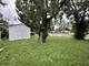 17609 Roosevelt, Homewood, IL 60430