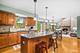 23741 W Deer Chase, Naperville, IL 60564