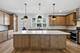 8367 Mulberry, Morton Grove, IL 60053
