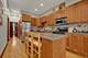 1111 N Mozart Unit 2, Chicago, IL 60622
