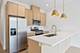 1313 W Taylor Unit 2, Chicago, IL 60607