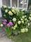 209 W Main, Barrington, IL 60010