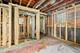 6215 S Evans, Chicago, IL 60637