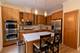 1125 W Monroe, Chicago, IL 60607