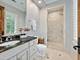 909 Cleveland, Hinsdale, IL 60521