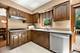 519 Calduto, Villa Park, IL 60181