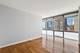 8 E Randolph Unit 3108, Chicago, IL 60601