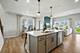 142 Daltrey, Oswego, IL 60543