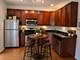 2923 N Clybourn Unit 204, Chicago, IL 60618