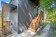 2307 Lake, Evanston, IL 60201