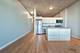 1720 S Michigan Unit 2805, Chicago, IL 60616