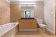 1720 S Michigan Unit 2805, Chicago, IL 60616