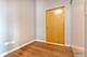 1720 S Michigan Unit 2805, Chicago, IL 60616