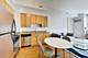 1464 S Michigan Unit 1306, Chicago, IL 60605