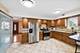 9719 Johanna, Franklin Park, IL 60131