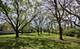 4S715 Karns Lot 2, Naperville, IL 60563