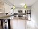 1750 Henley Unit 25, Glenview, IL 60025