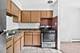 824 W College Unit 201, Addison, IL 60101